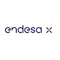 Endesa X
